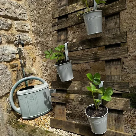 بيت للعطل Maison De Village Chaleureuse Sur Seye 82 Verfeil-sur-Seye